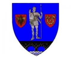 Stema județului Caraș Severin