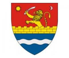 Stema județului Timiș