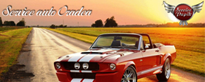 www.servicepapik.ro Service, auto, Papik, Oradea, atelier, service, asistență, rutieră, magazin, piese auto, comercializare, reparații, jante, inspecții, tehnice, ITP